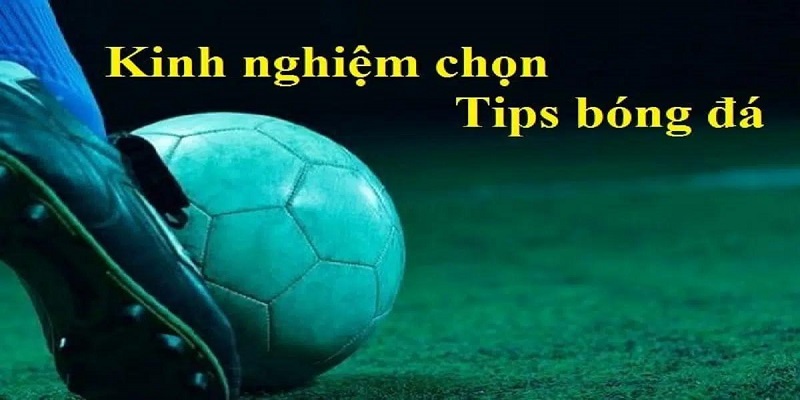 Cách tránh chọn phải tips bóng đá lừa đảo 