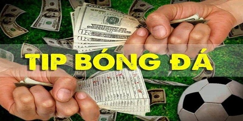 Thắc mắc tips bóng đá lừa đảo hay không?